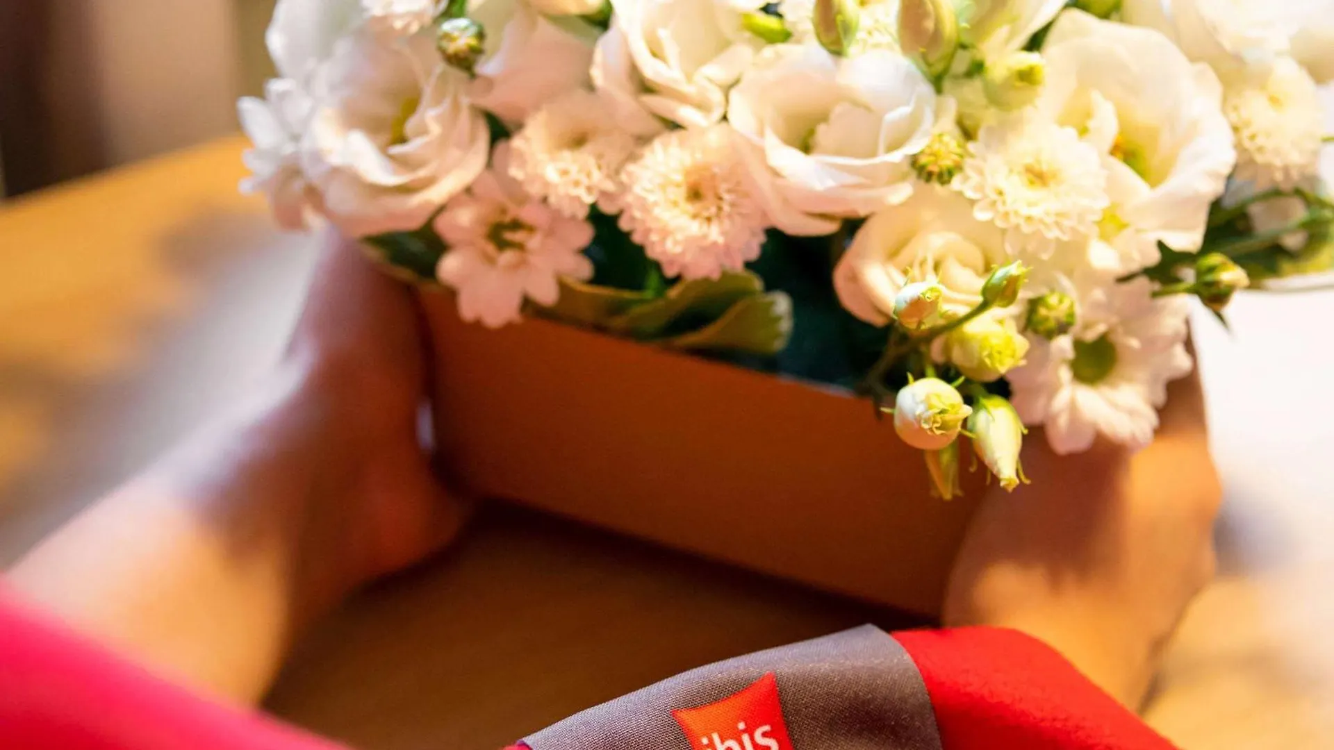 Ibis Irun Hotel
